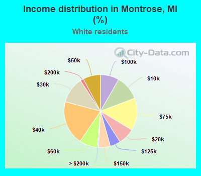 Income distribution in Montrose, MI (%)