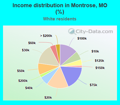 Income distribution in Montrose, MO (%)