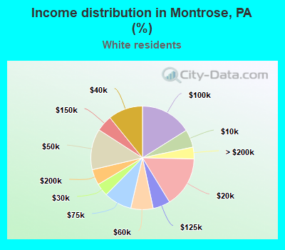 Income distribution in Montrose, PA (%)