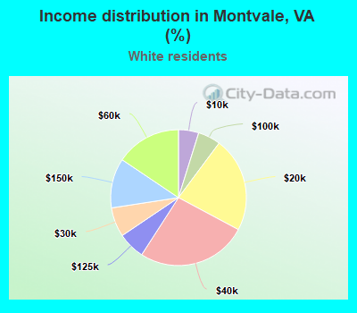 Income distribution in Montvale, VA (%)