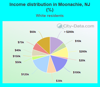 Income distribution in Moonachie, NJ (%)