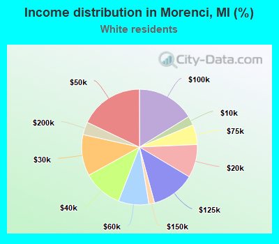 Income distribution in Morenci, MI (%)