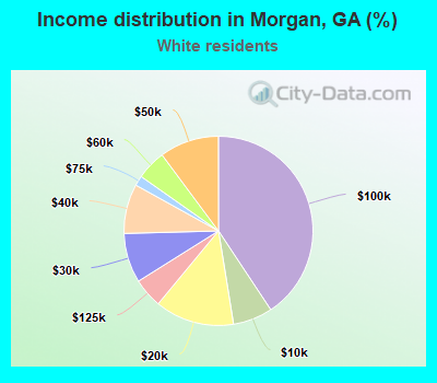 Income distribution in Morgan, GA (%)