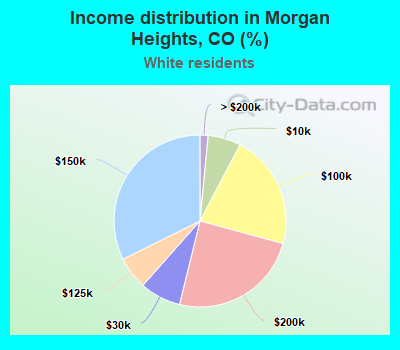 Income distribution in Morgan Heights, CO (%)