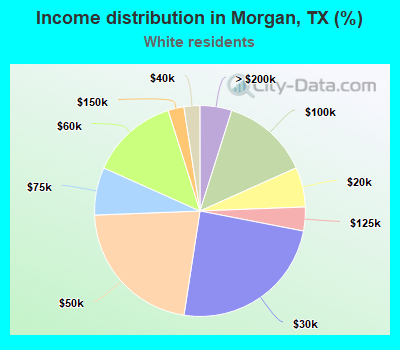 Income distribution in Morgan, TX (%)
