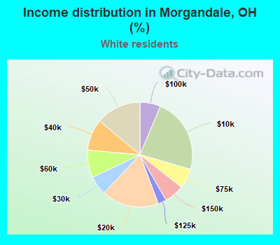 Income distribution in Morgandale, OH (%)