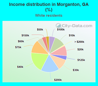 Income distribution in Morganton, GA (%)