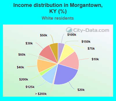 Income distribution in Morgantown, KY (%)