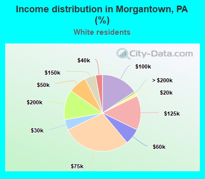Income distribution in Morgantown, PA (%)