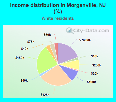 Income distribution in Morganville, NJ (%)