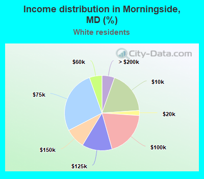 Income distribution in Morningside, MD (%)