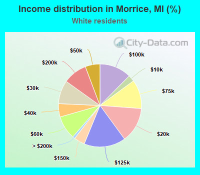 Income distribution in Morrice, MI (%)