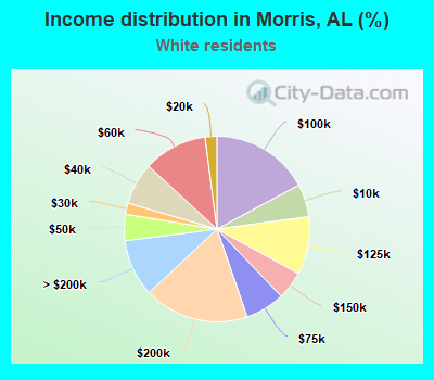 Income distribution in Morris, AL (%)