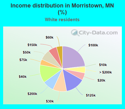 Income distribution in Morristown, MN (%)