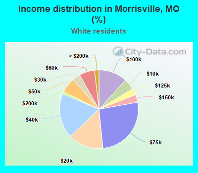 Income distribution in Morrisville, MO (%)