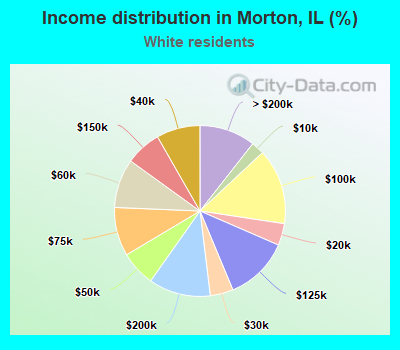 Income distribution in Morton, IL (%)