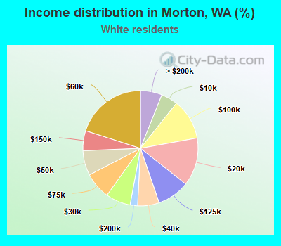 Income distribution in Morton, WA (%)