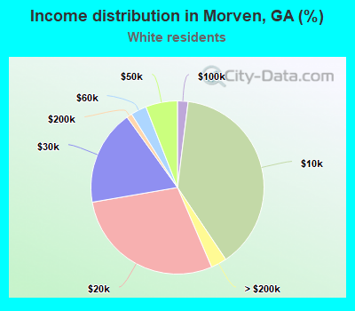 Income distribution in Morven, GA (%)