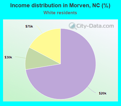 Income distribution in Morven, NC (%)