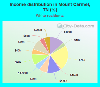 Income distribution in Mount Carmel, TN (%)