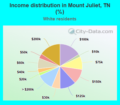 Income distribution in Mount Juliet, TN (%)