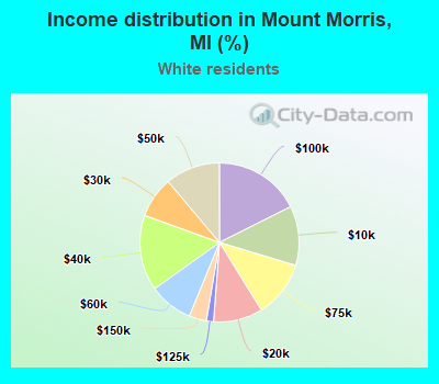 Income distribution in Mount Morris, MI (%)