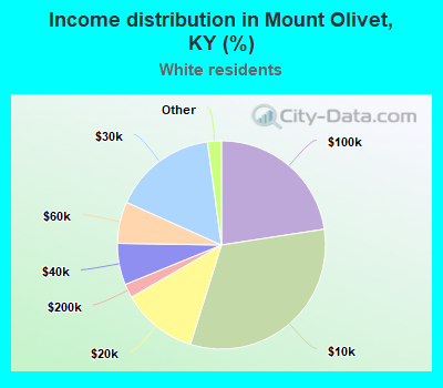 Income distribution in Mount Olivet, KY (%)