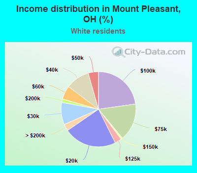 Income distribution in Mount Pleasant, OH (%)