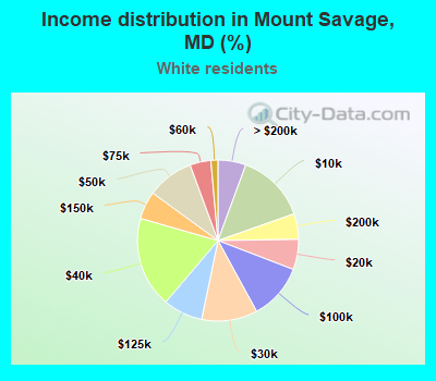 Income distribution in Mount Savage, MD (%)