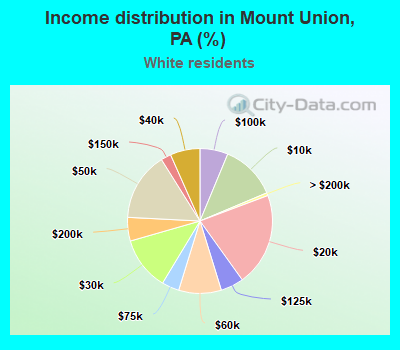 Income distribution in Mount Union, PA (%)