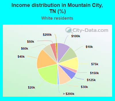 Income distribution in Mountain City, TN (%)