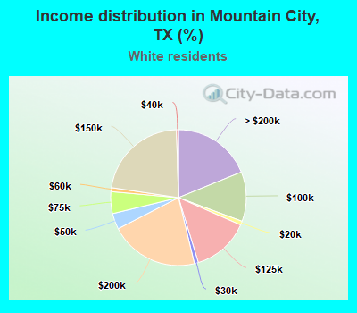 Income distribution in Mountain City, TX (%)