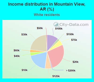 Income distribution in Mountain View, AR (%)
