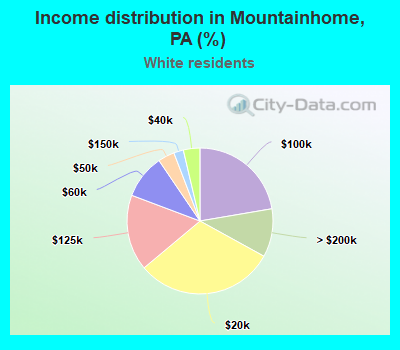 Income distribution in Mountainhome, PA (%)