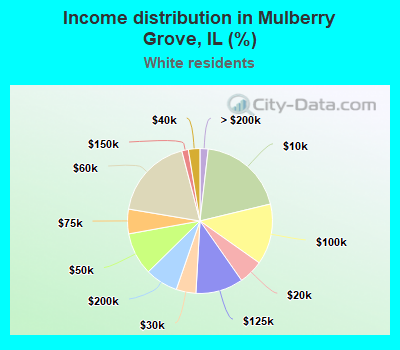 Income distribution in Mulberry Grove, IL (%)