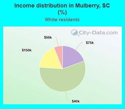 Income distribution in Mulberry, SC (%)