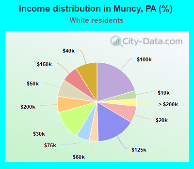 Income distribution in Muncy, PA (%)