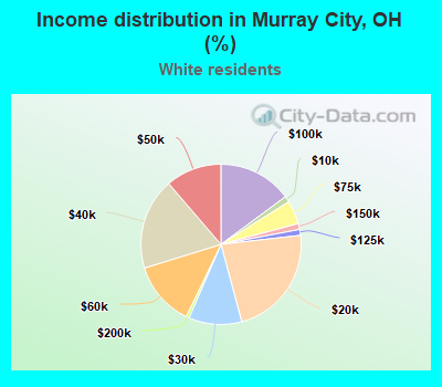 Income distribution in Murray City, OH (%)