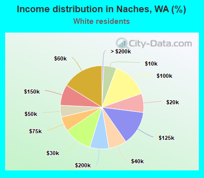 Income distribution in Naches, WA (%)