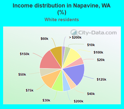 Income distribution in Napavine, WA (%)