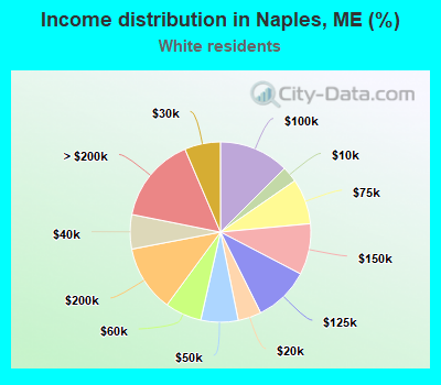 Income distribution in Naples, ME (%)