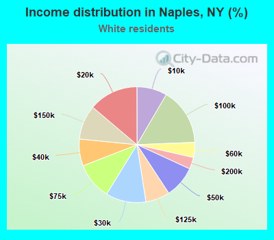 Income distribution in Naples, NY (%)