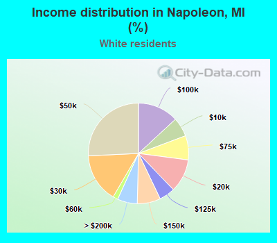 Income distribution in Napoleon, MI (%)