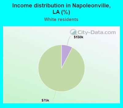 Income distribution in Napoleonville, LA (%)