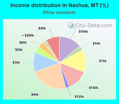 Income distribution in Nashua, MT (%)