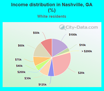 Income distribution in Nashville, GA (%)
