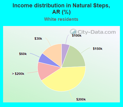Income distribution in Natural Steps, AR (%)