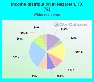 Income distribution in Nazareth, TX (%)
