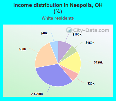 Income distribution in Neapolis, OH (%)