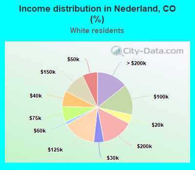 Income distribution in Nederland, CO (%)
